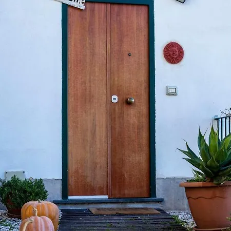 Paradise House Ferienhaus